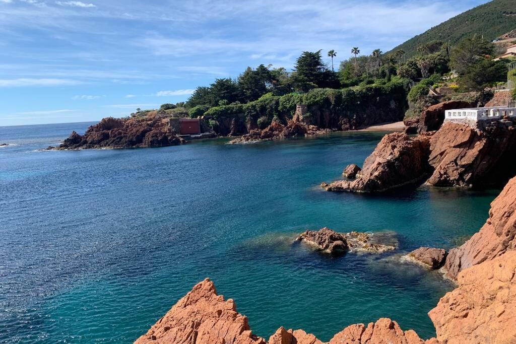 Cap Neree Petit Coin De Paradis Pieds Dans L Eau Сен-Рафаэль Экстерьер фото